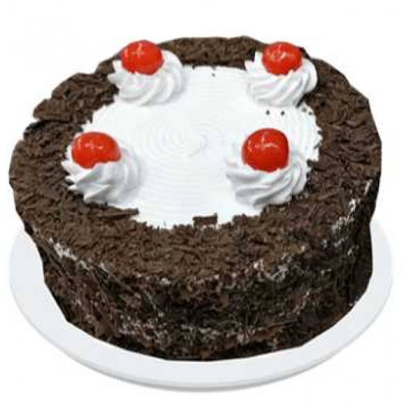 Black Forest Premium Cake